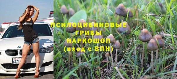 кристаллы Алексеевка