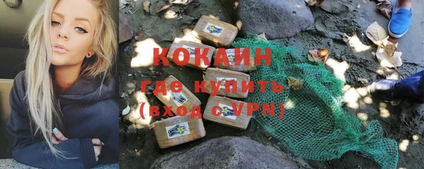 дмт Абаза