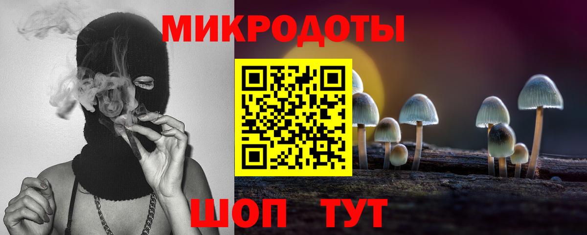 Сокол  Галлюциногенные грибы Cubensis  Вход с VPN 