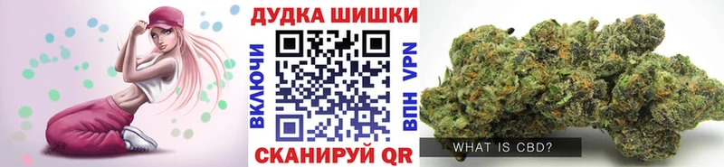 Бошки марихуана Amnesia  наркота  Сокол 